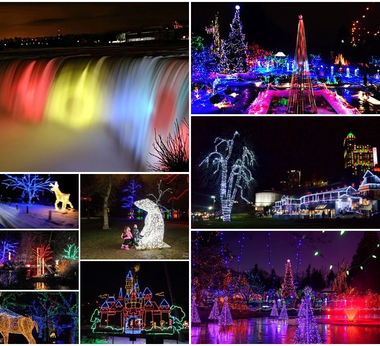Winter Festival of Lights 5